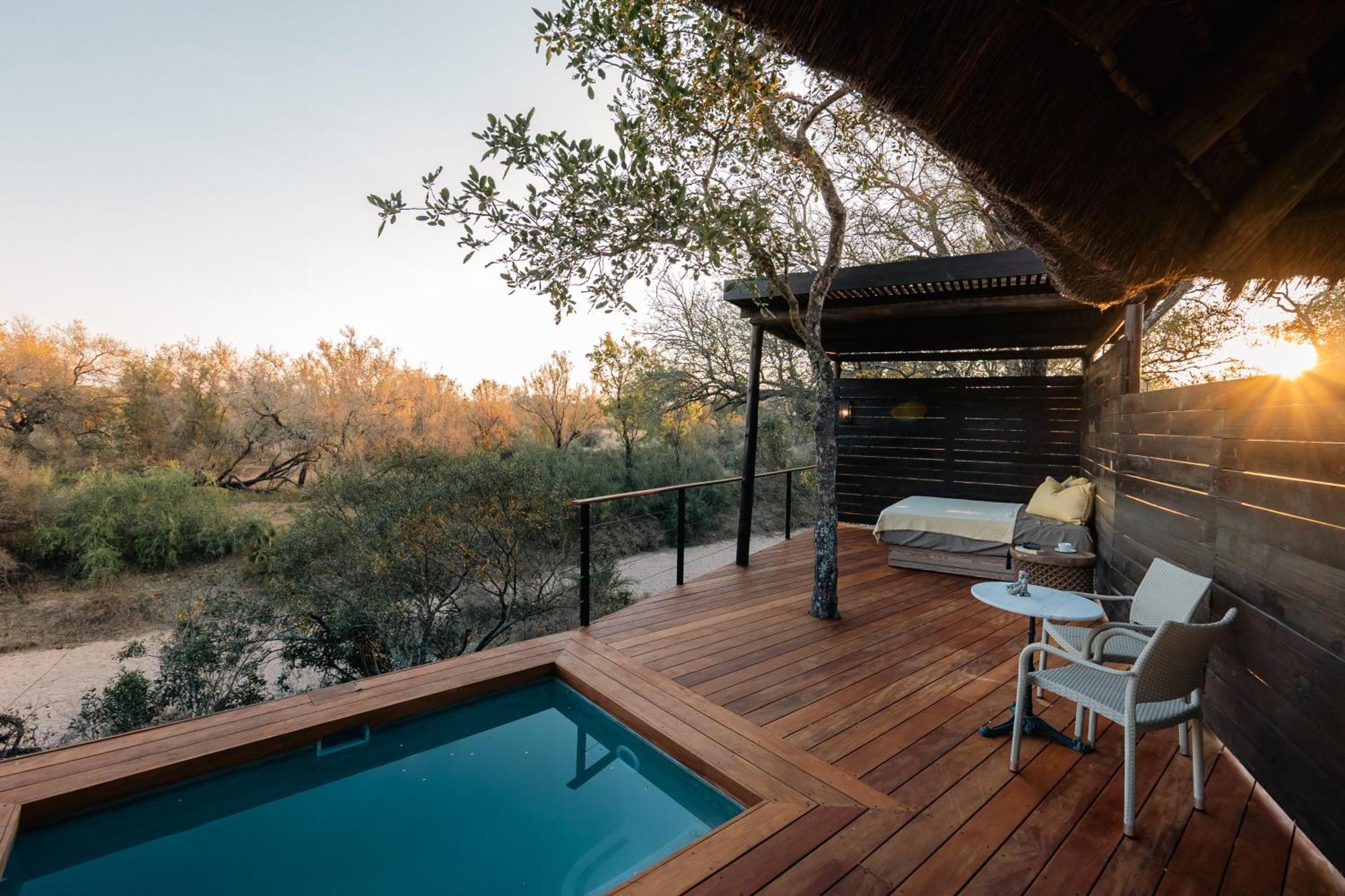 Thornybush Simbambili Lodge Sabi Sand Game Reserve Exteriér fotografie
