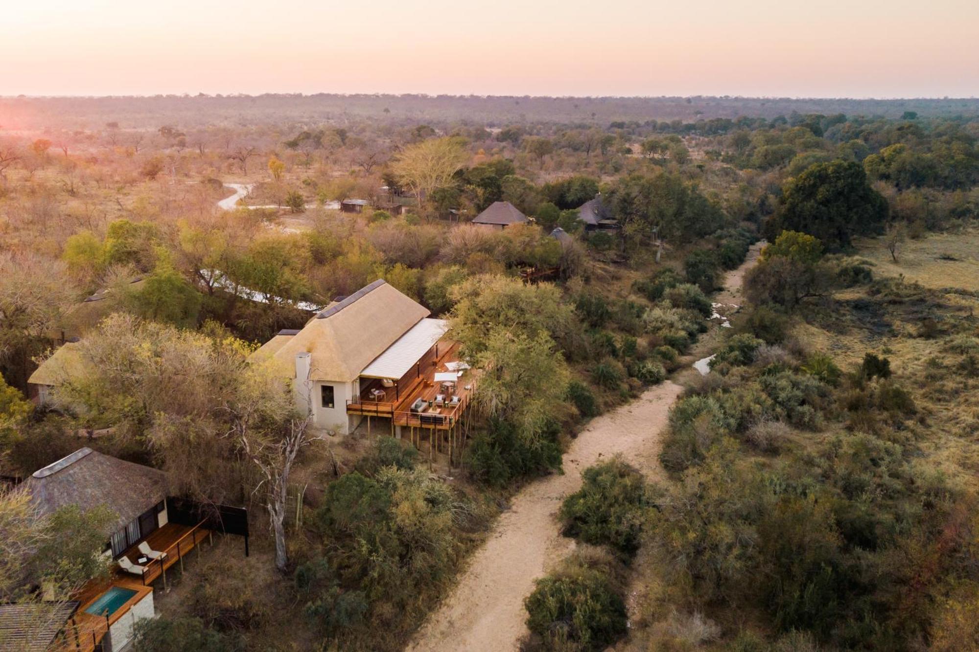 Thornybush Simbambili Lodge Sabi Sand Game Reserve Exteriér fotografie