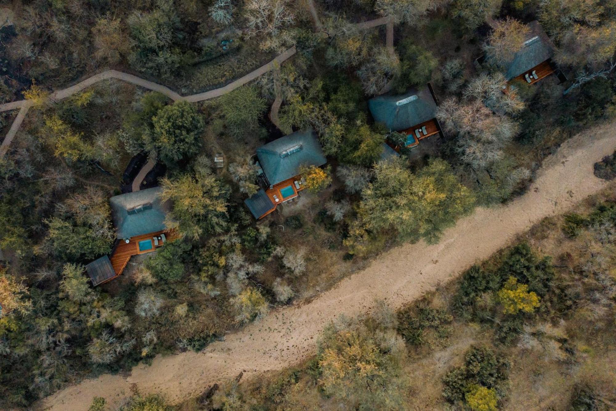 Thornybush Simbambili Lodge Sabi Sand Game Reserve Exteriér fotografie
