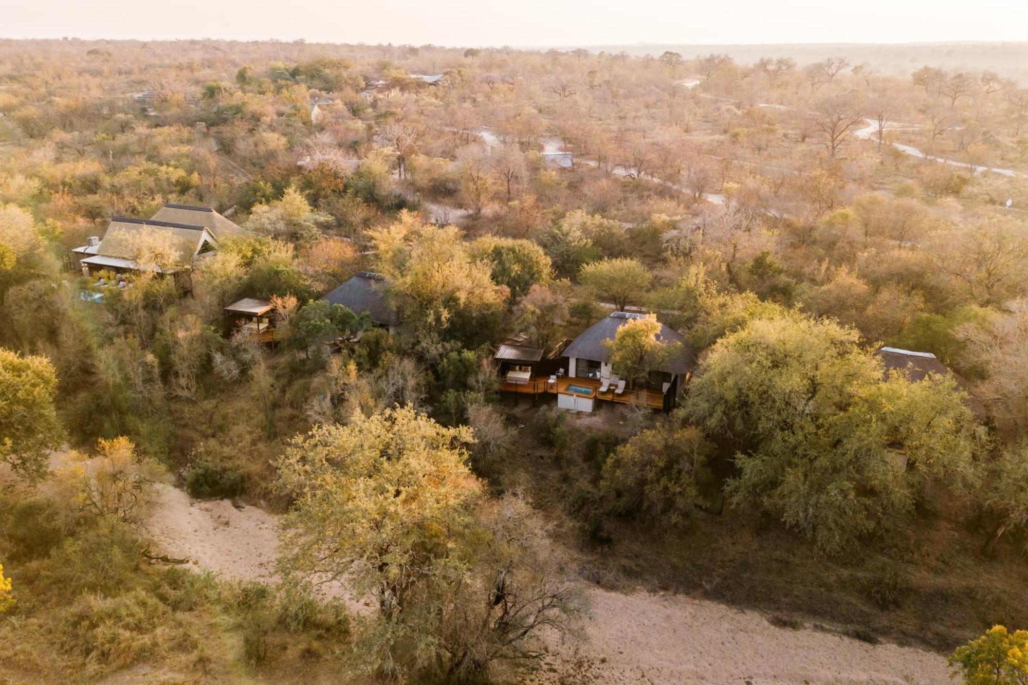 Thornybush Simbambili Lodge Sabi Sand Game Reserve Exteriér fotografie