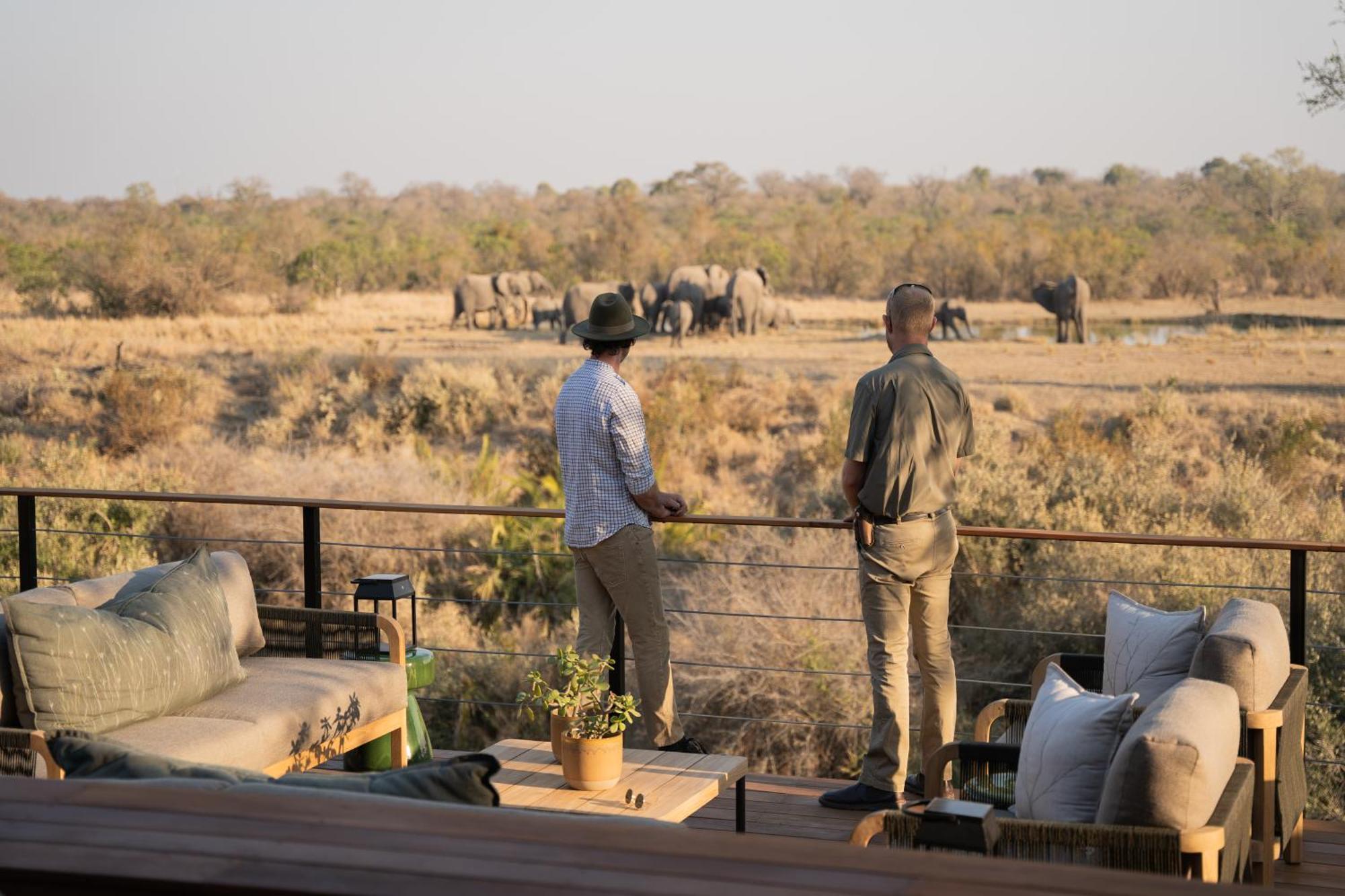 Thornybush Simbambili Lodge Sabi Sand Game Reserve Exteriér fotografie
